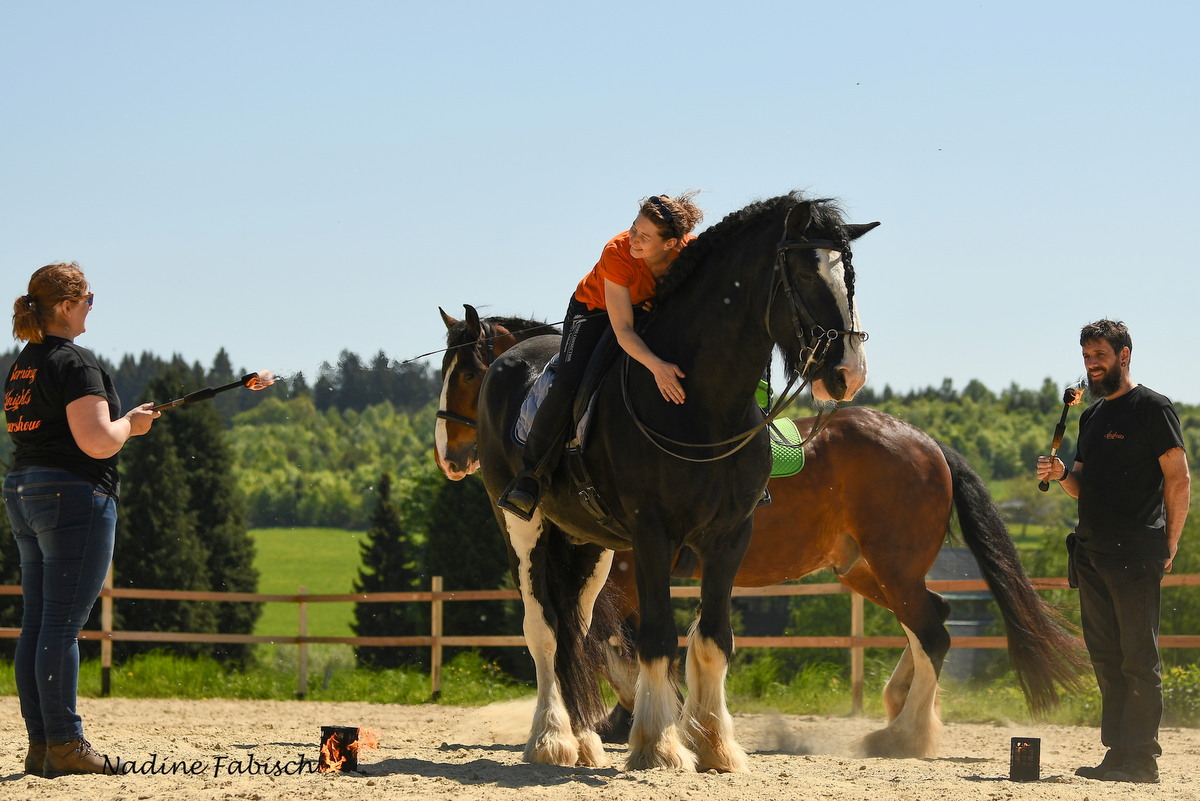 Oscar Feuer Training